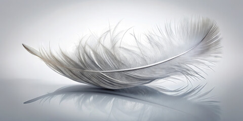 Poster - A delicate white feather rests peacefully on a reflective surface, showcasing intricate details and soft textures against a clean, smooth background that highlights its elegance