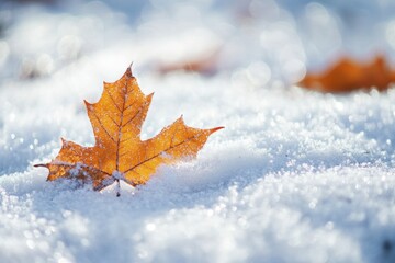 Wall Mural - A Single Autumn Leaf Rests Upon Winter Snow