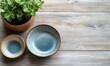 © mochalfin - Two blue ceramic bowls and a potted succulent on a wood table.