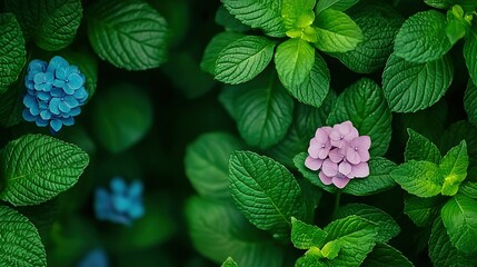 Wall Mural -   A vibrant pink and blue flower rests atop a verdant, leaf-filled forest brimming with lush greenery