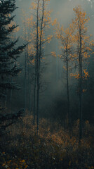 Aufkleber - Autumn Forest Scene with Misty Atmosphere and Bare Trees