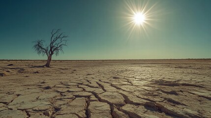 Poster - Cracked dry lakebed under a blazing sun with a solitary tree in the distance and clear blue sky. Generative AI