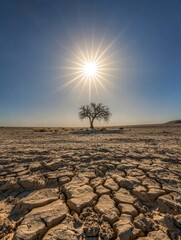 Poster - Cracked dry lakebed under a blazing sun with a solitary tree standing in the harsh landscape. Generative AI