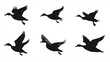 © Nathan - Silhouettes of ducks in flight, showcasing various wing positions and movements.