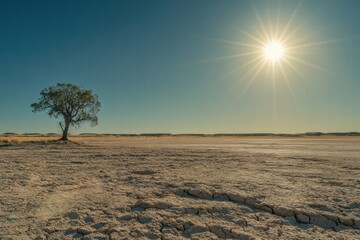 Poster - Cracked dry lakebed reveals parched landscape under blazing sun with lone tree in the distance. Generative AI