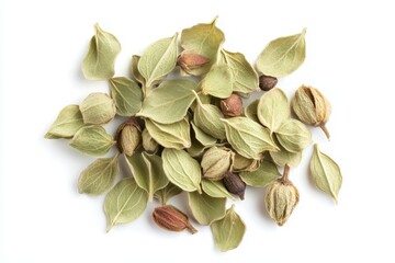 Canvas Print - Dried oregano spices grouped on white background overhead view