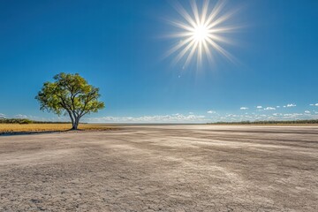 Poster - Cracked dry lakebed under a blazing sun with a solitary tree contrasting against the vast landscape. Generative AI