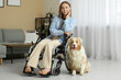 © Pixel-Shot - Young woman in wheelchair with cute service dog at home