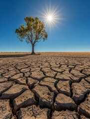 Poster - Cracked dry lakebed under a blazing sun with a solitary tree in the background highlighting drought conditions. Generative AI