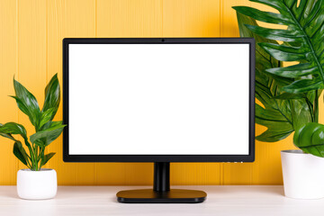 Poster - blank computer screen surrounded by vibrant green plants on bright yellow wall creates refreshing workspace