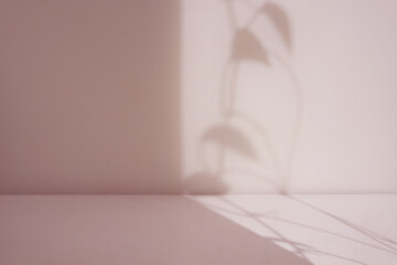 Poster - pink room with soft  shadow