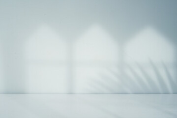 Poster - Empty room with palm leaf shadow