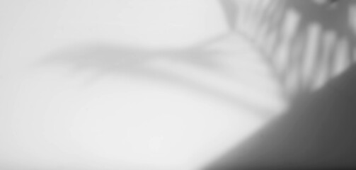 Poster - natural window shadow