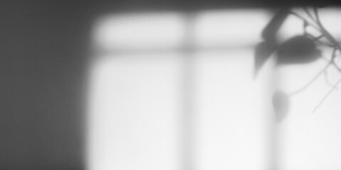 Poster - minimalist window shadow with leaf
