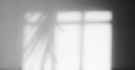 Poster - Natural shadow overlay