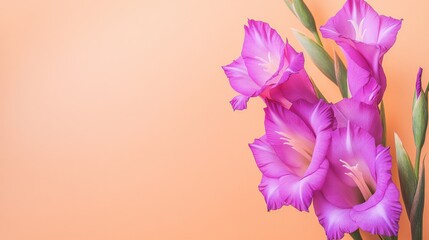 Aufkleber - A bright purple gladiolus against a soft peach background, diagonal close-up shot, Minimalist style