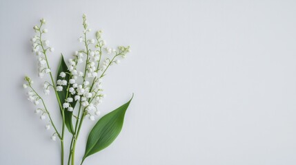 Poster - A delicate white lily-of-the-valley with tiny bell-shaped flowers, on a pure white background, Minimalist style