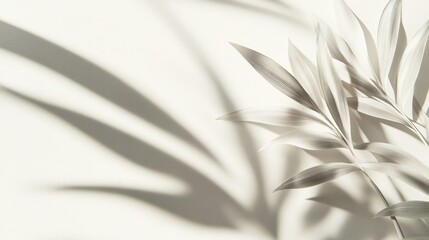 Poster - Monochrome leaf shadow overlay on white background.