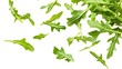 © Ahesan - Falling Arugula isolated on a white background
