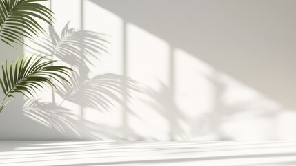 Poster - Minimalist room interior with sunlight and palm leaves casting shadows on a white wall.