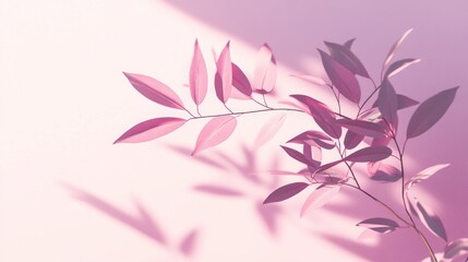 Poster - Pink leaves cast shadows on a pastel pink background.