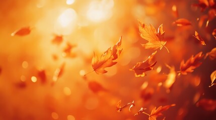 Poster - Falling autumn leaves in warm sunlight. (2)