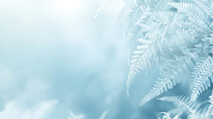 Poster - Delicate white ferns in soft blue light, nature background.