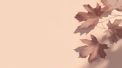 Poster - Autumnal maple leaves with shadows on a peach background.