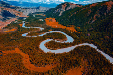 Beautiful aerial photo autumn landscape, , Altai Russia. Winding blue river meander in mountains with forest trees with sunlight, top view