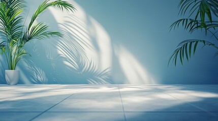 Canvas Print - Sunlit room with potted plants and blue wall.