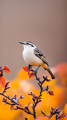 Naklejka na meble Bird perched on autumn branch, blurred orange background, nature photography, website banner.