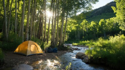 Poster - A tranquil campsite beside a secluded mountain stream, Camping gear arranged under towering aspen trees and dappled sunlight, Aspen forest retreat style