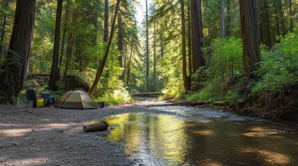 Poster - A tranquil campsite beside a tranquil forest stream, Camping gear arranged under towering redwoods and dappled sunlight, Redwood forest retreat style