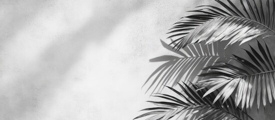 Canvas Print - Palm tree leaf shadows on a textured grey wall minimalist background summer aesthetic with ample copy space for branding and design elements