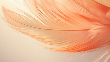 Poster - Delicate soft orange feathers gracefully flowing against a serene neutral backdrop creating a calming and elegant visual atmosphere