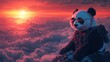 © Ali - Cool panda, sunset cloudscape, mountaintop.
