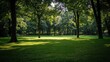 © milenialdesastudio - Sunlit green meadow in a lush forest with tall trees casting shadows.