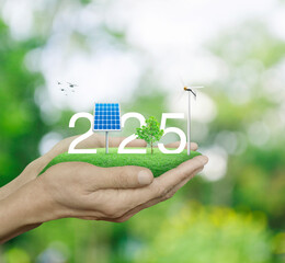 Wall Mural - 2025 white text with solar cell, wind turbine and growing tree on green grass field in hands over blur tree in forest, Happy new year 2025 ecological cover concept