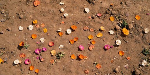 Wall Mural - A ground covered with colorful flower petals scattered on the soil.