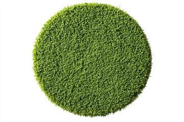 circular patch of artificial turf grass isolated on white.