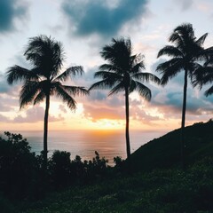 Wall Mural - Three palm trees standing on a hill with an ocean view in the background