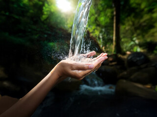 Leinwandbilder - Sunlight streams through lush foliage as pure water cascades from a source into cupped hands.  A tranquil scene of nature's bounty.