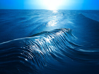 Poster - A mesmerizing ocean wave, backlit by the sun, displays its translucent form and glistening surface.  The deep blue hues contrast beautifully against the bright light.