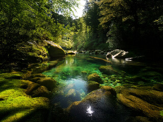 Poster - Sunlit stream flows through a lush, green forest. Crystal-clear water reflects the sky, revealing smooth rocks covered in vibrant moss.  Peaceful, serene nature scene.