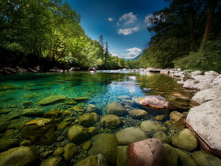 Poster - Serene river scene with crystal-clear water flowing over smooth rocks. Lush green trees line the banks under a vibrant blue sky.  The sunlit water reveals the riverbed below.