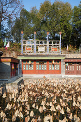 Wall Mural - Scenery of the Remaining Lotus in Suzhou Street, Summer Palace, Beijing