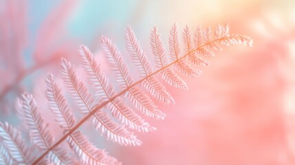 Canvas Print - Soft pastel pink and blue fern frond.