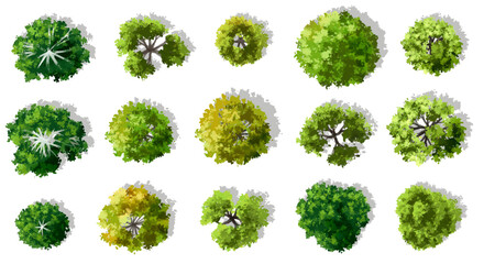 Vector watercolor green tree or forest top view isolated on white background for landscape plan and architecture drawing,plant for environment or garden,botanical element for exterior layout