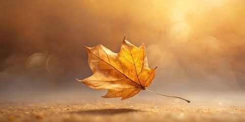Poster - A single, dry, brown maple leaf hovers above a muted, autumnal ground, illuminated by soft sunlight.