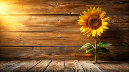 Aufkleber - A single sunflower blooms against a backdrop of weathered wooden planks, its golden petals catching the soft glow of the sun.